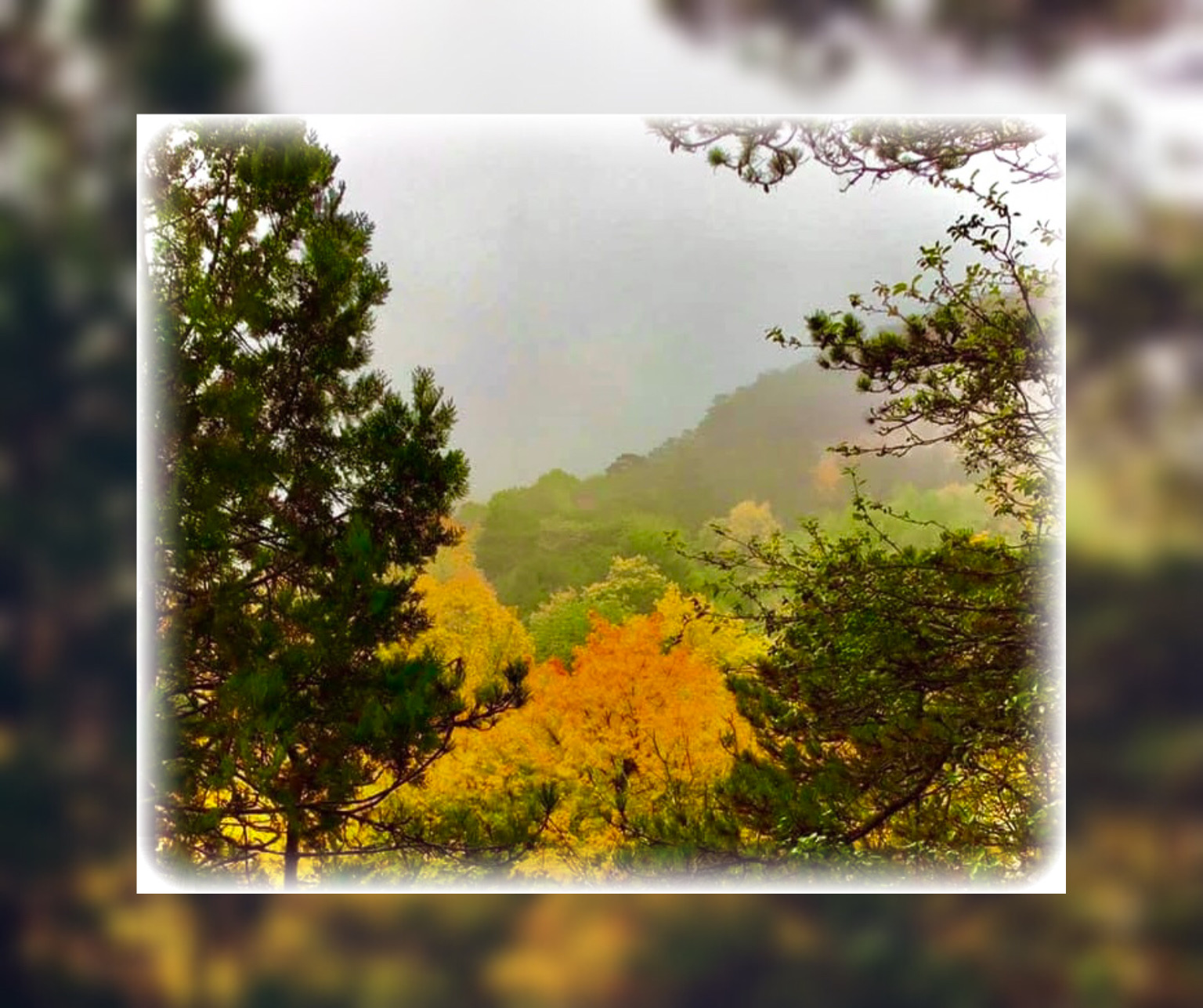 Herbstliebe